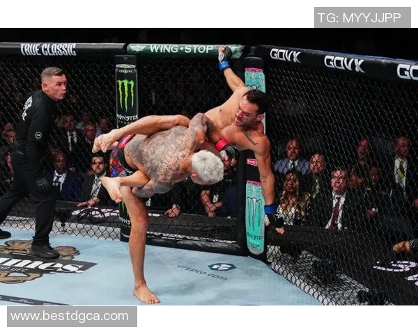 奎维利与奥尔良激战正酣谁能在这场较量中脱颖而出