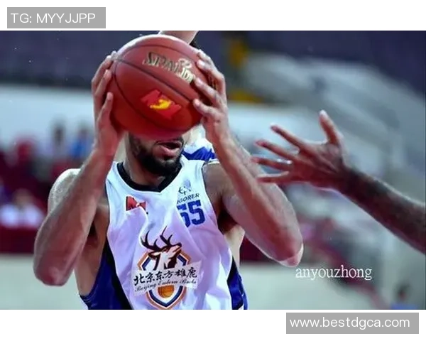 陕西信达对决东方雄鹿精彩赛事回顾与分析